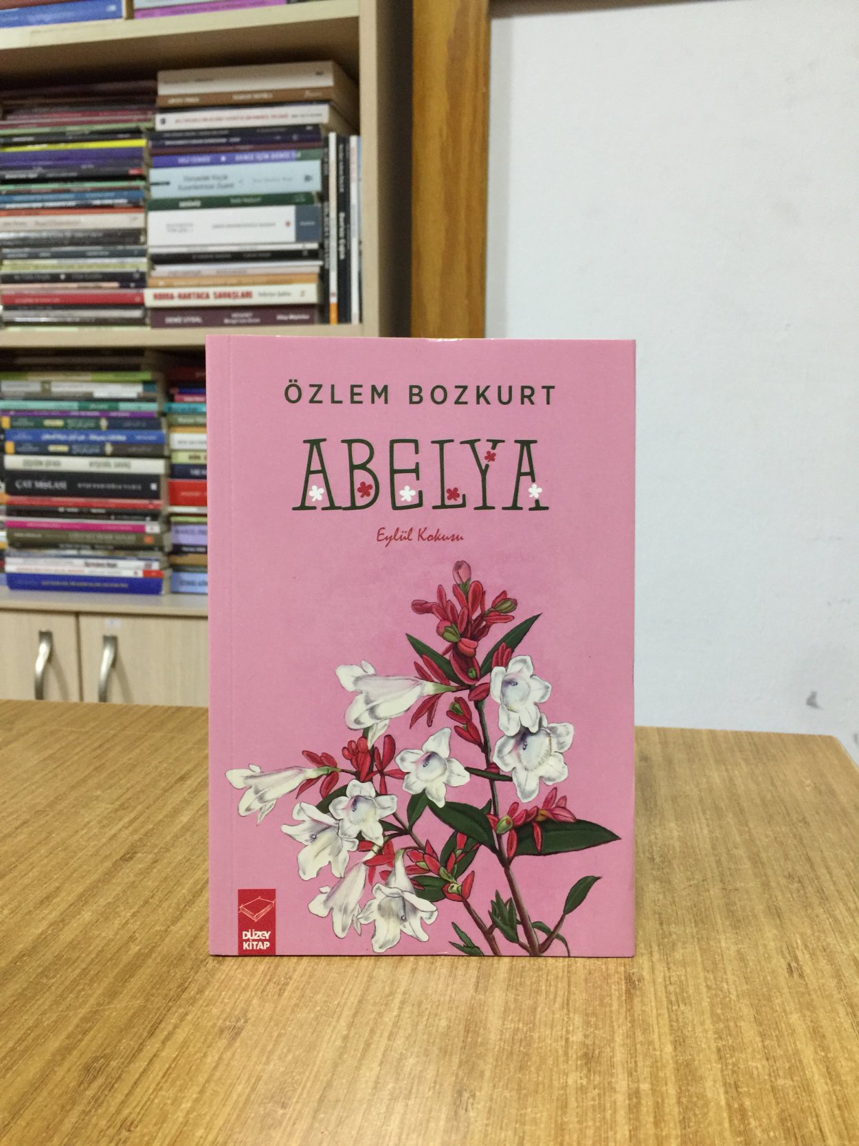 Abelya - Özlem Bozkurt