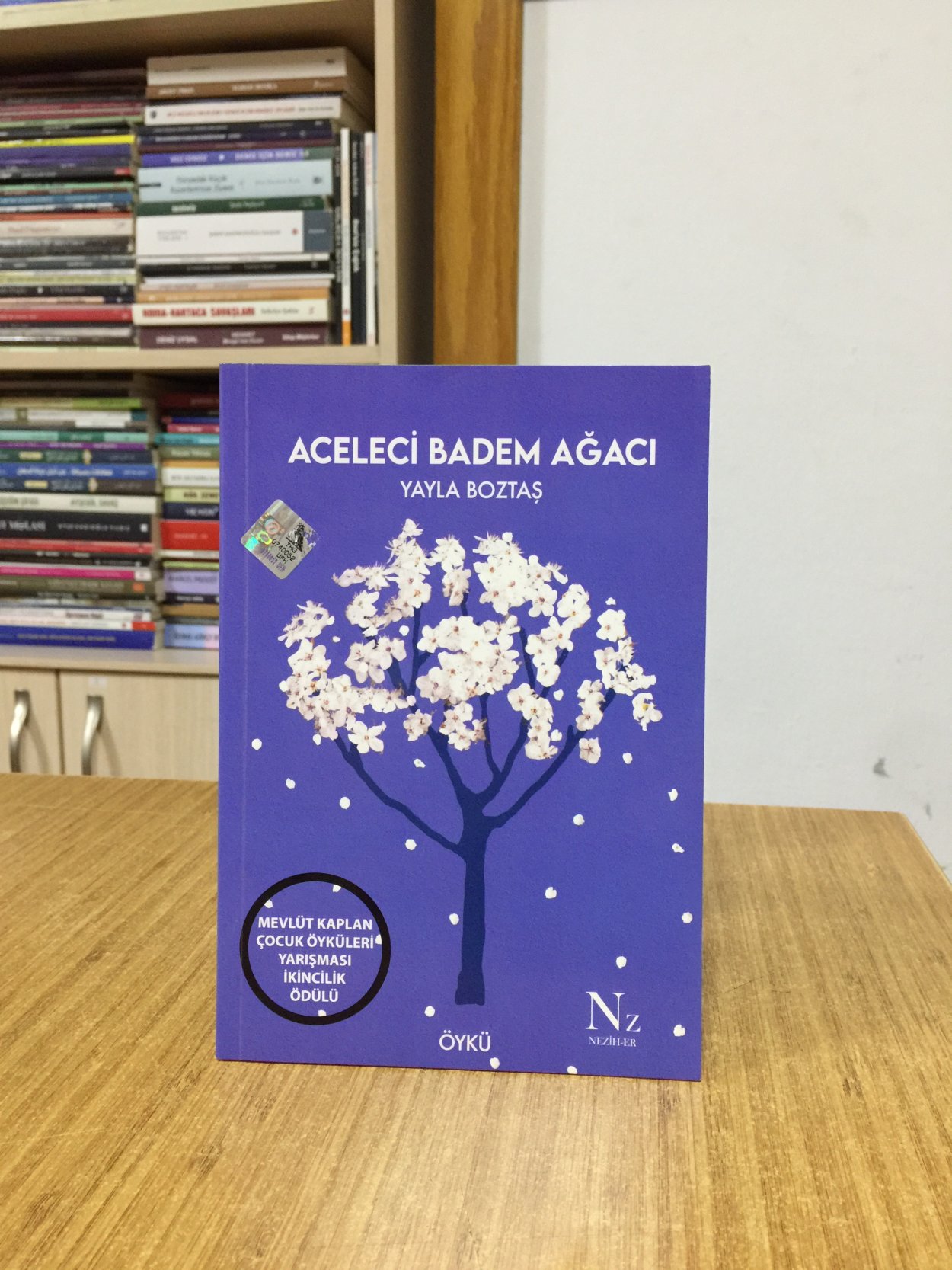 Aceleci Badem Ağacı - Yayla Boztaş