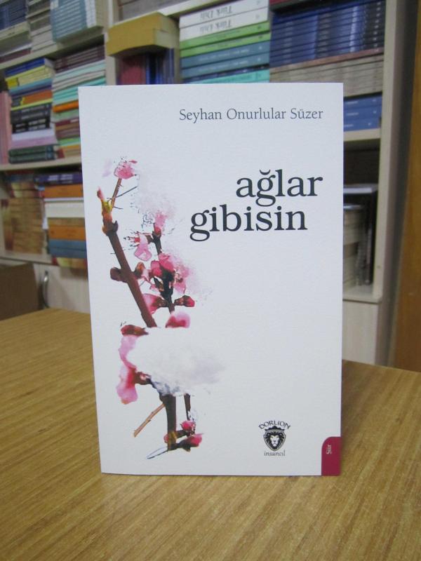 Ağlar Gibisin - Seyhan Onurlular Süzer
