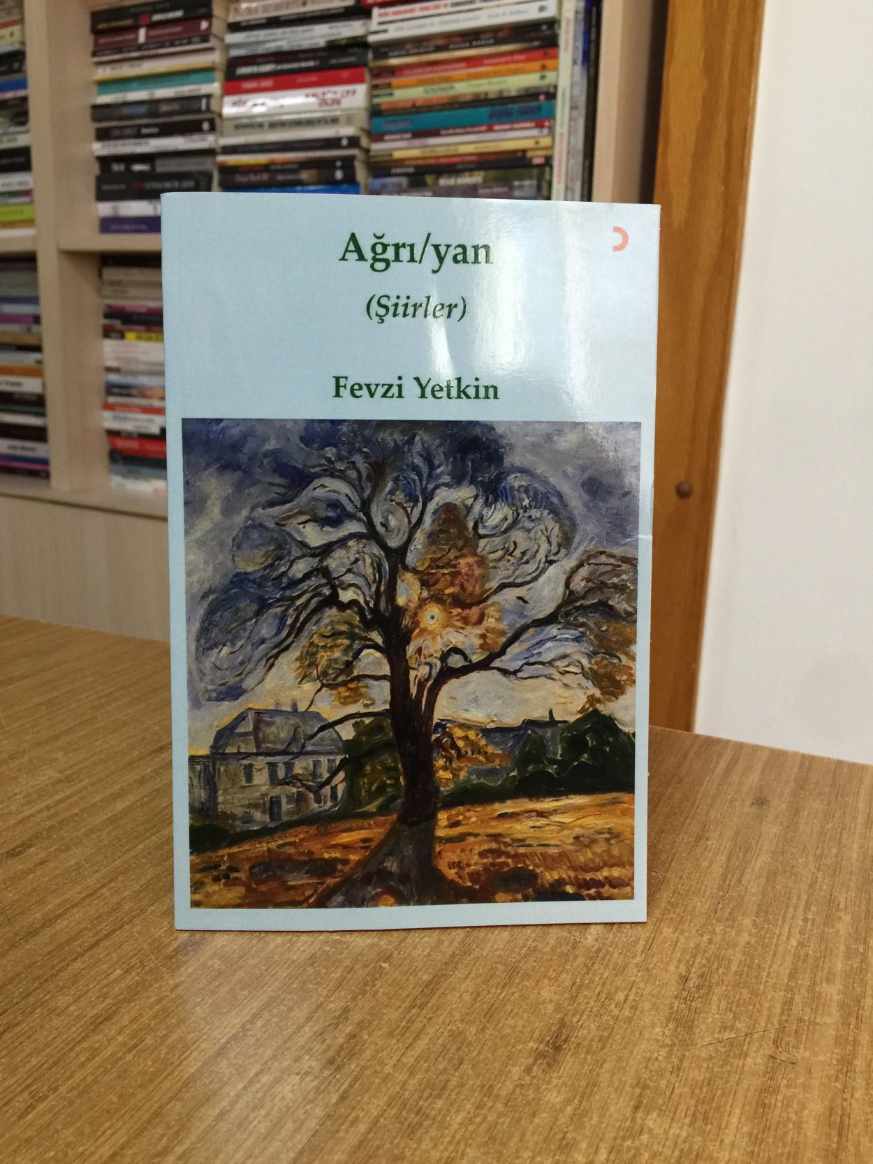 Ağrı/yan - Fevzi Yetkin