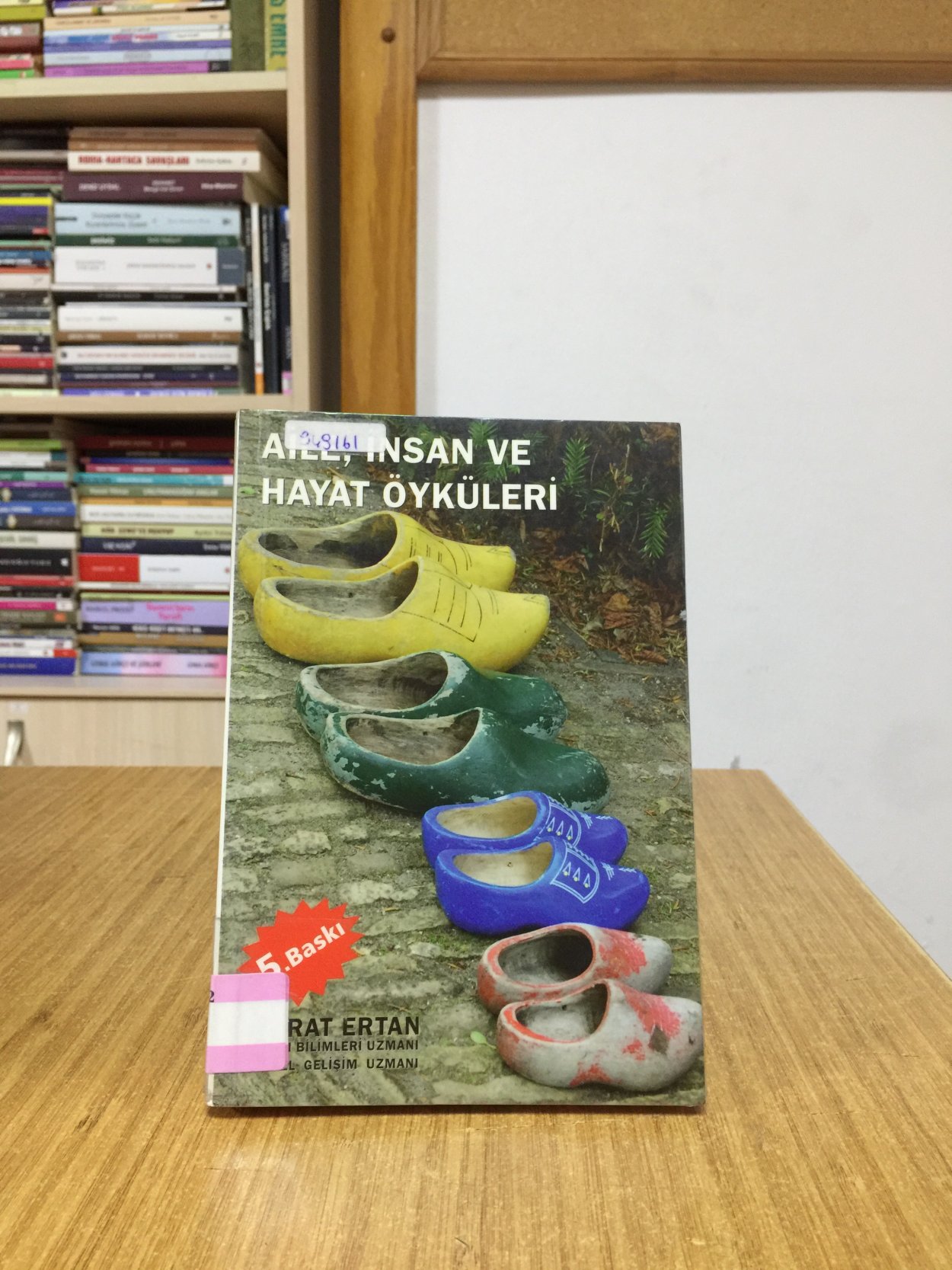 Aile İnsan ve Hayat Öyküleri - Murat Ertan