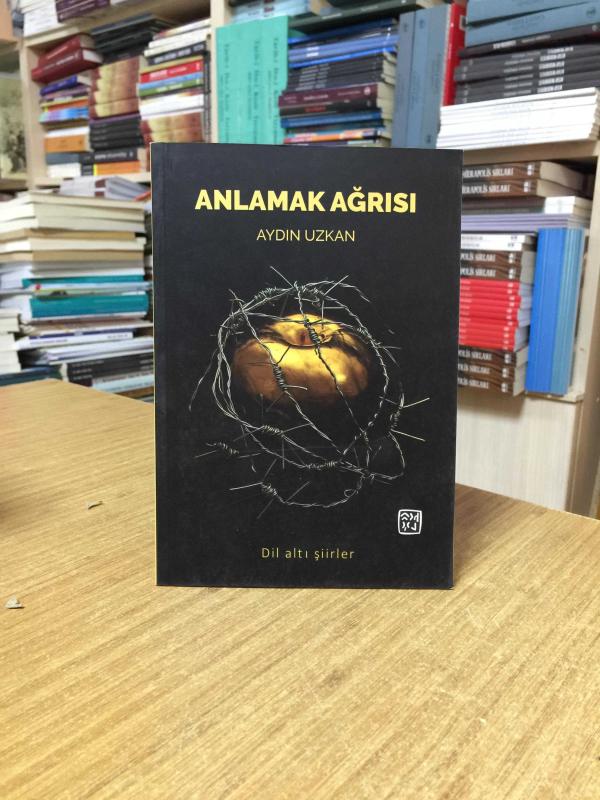 Anlamak Ağrısı - Aydın Uzkan