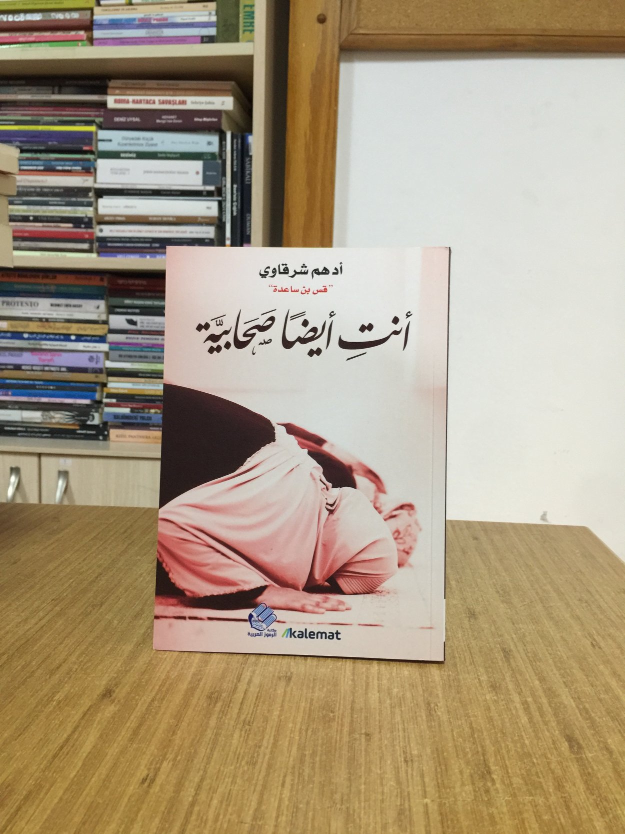 ANTY AYDN SHABYA  - Adham Sharkawi