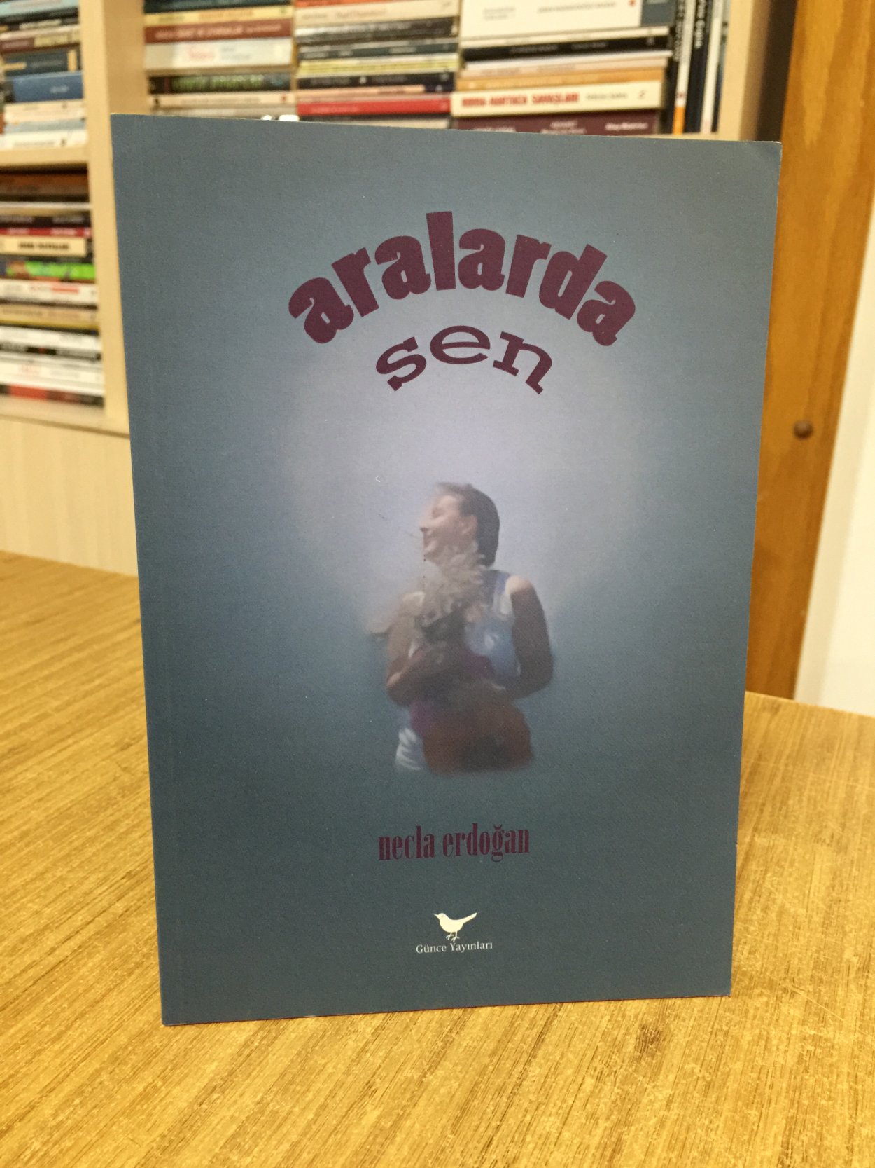Aralarda Sen - Necla Erdoğan