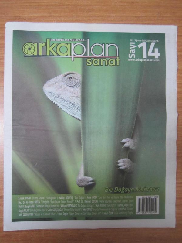 Arkaplan Sanat Gazetesi - Sayı 14 - Ağustos Eylül 2021