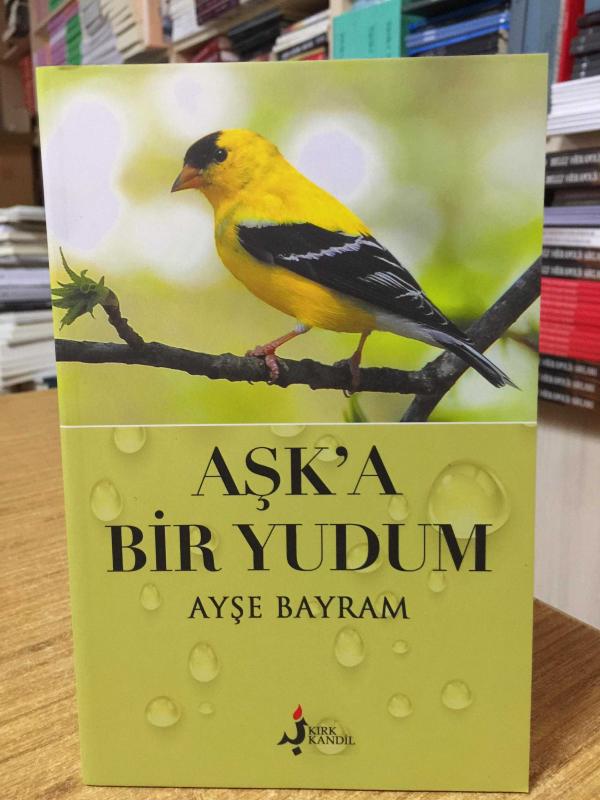 Aşk'a Bir Yudum - Ayşe Bayram