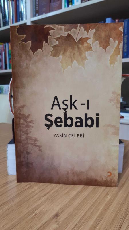 Aşk-ı Şebabi