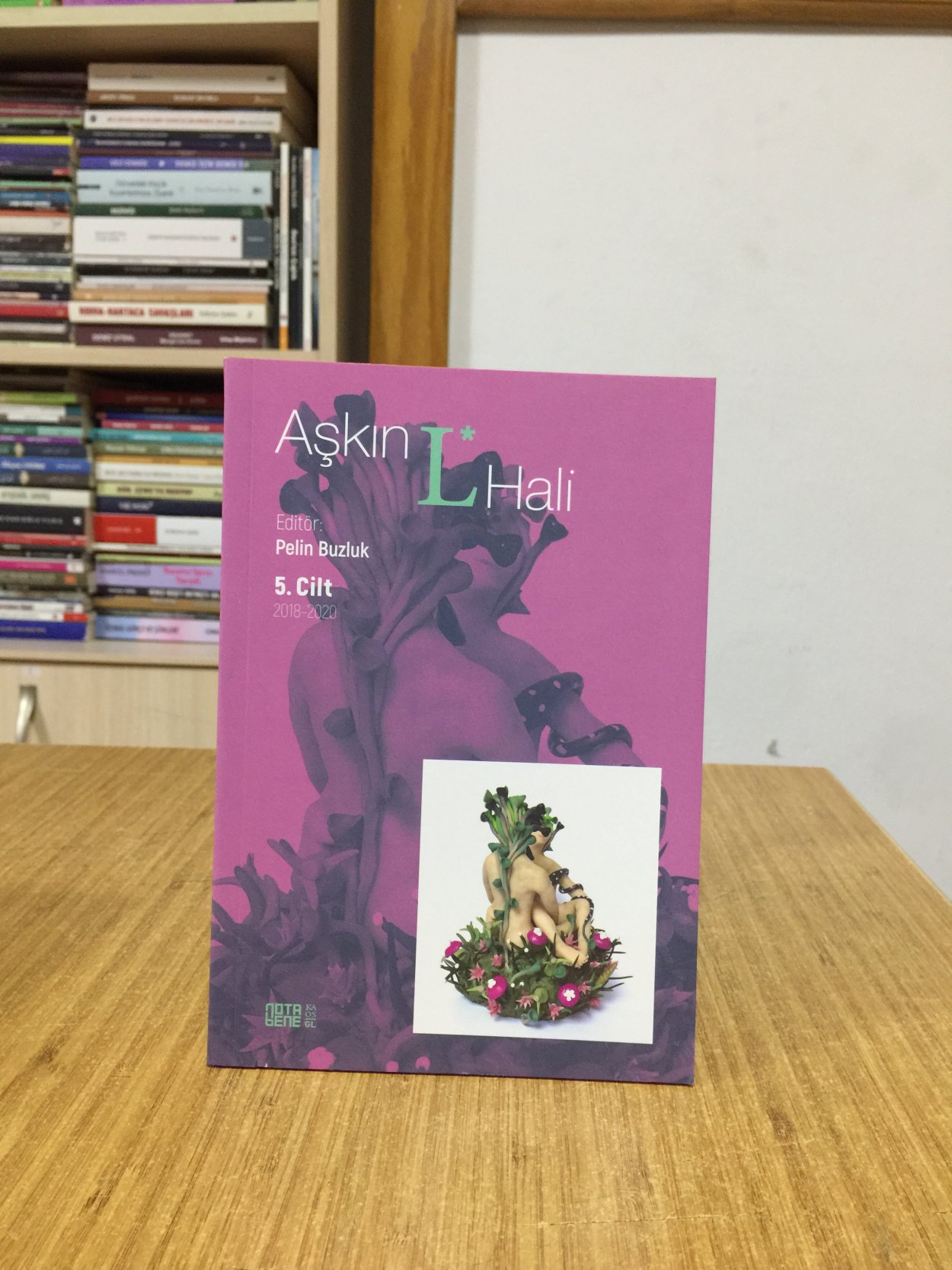 Aşkın L Hali 5.Cilt 2018 - 2020
