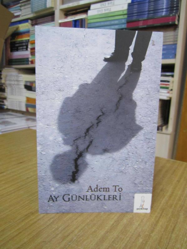 Ay Günlükleri - Adem To