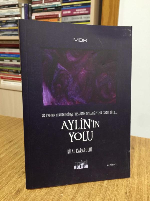 Aylin'in Yolu - Bir Kadının Yeniden Doğuşu