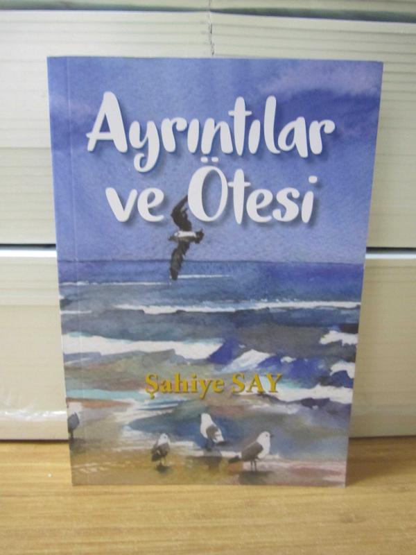 Ayrıntılar ve Ötesi - Şahiye Say