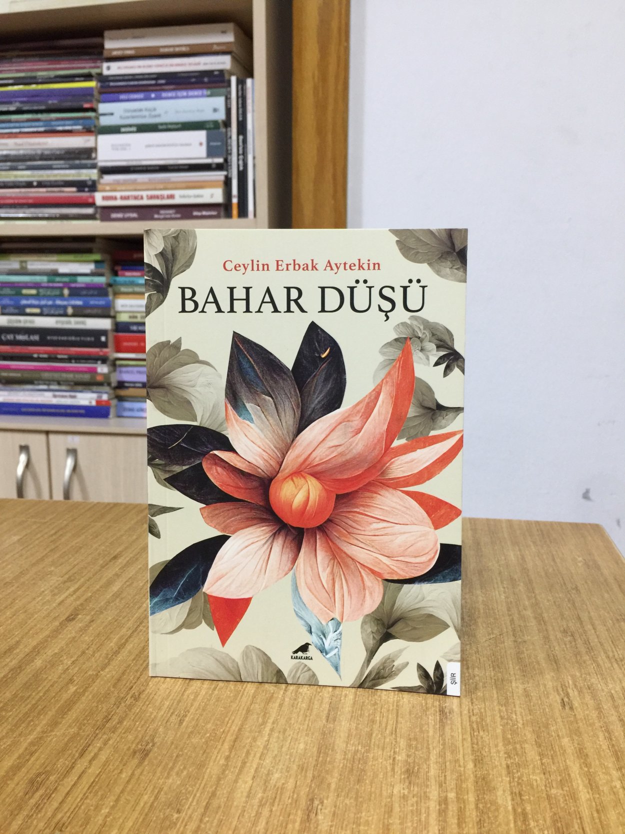 Bahar Düşü - Ceylin Erbak Aytekin