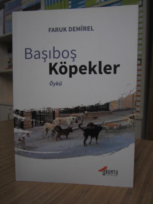 Başıboş Köpekler