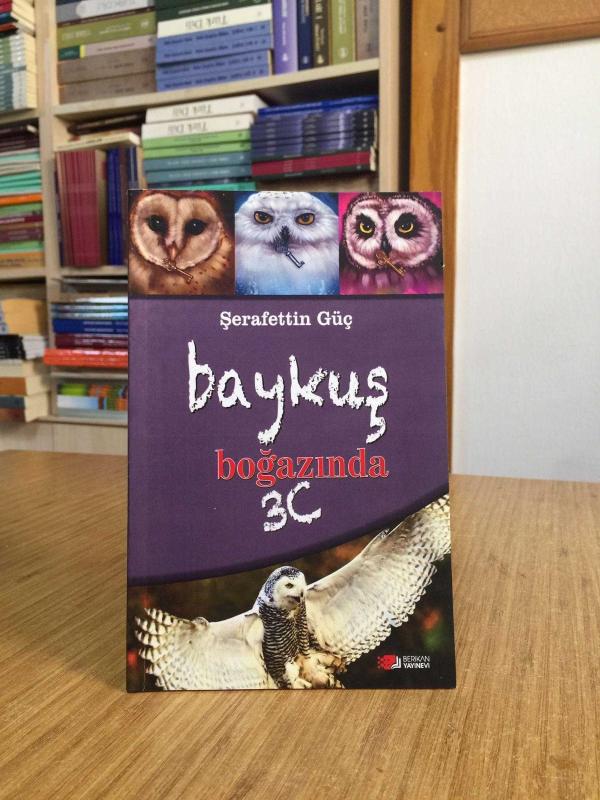 Baykuş Boğazında 3C - Şerafettin Güç