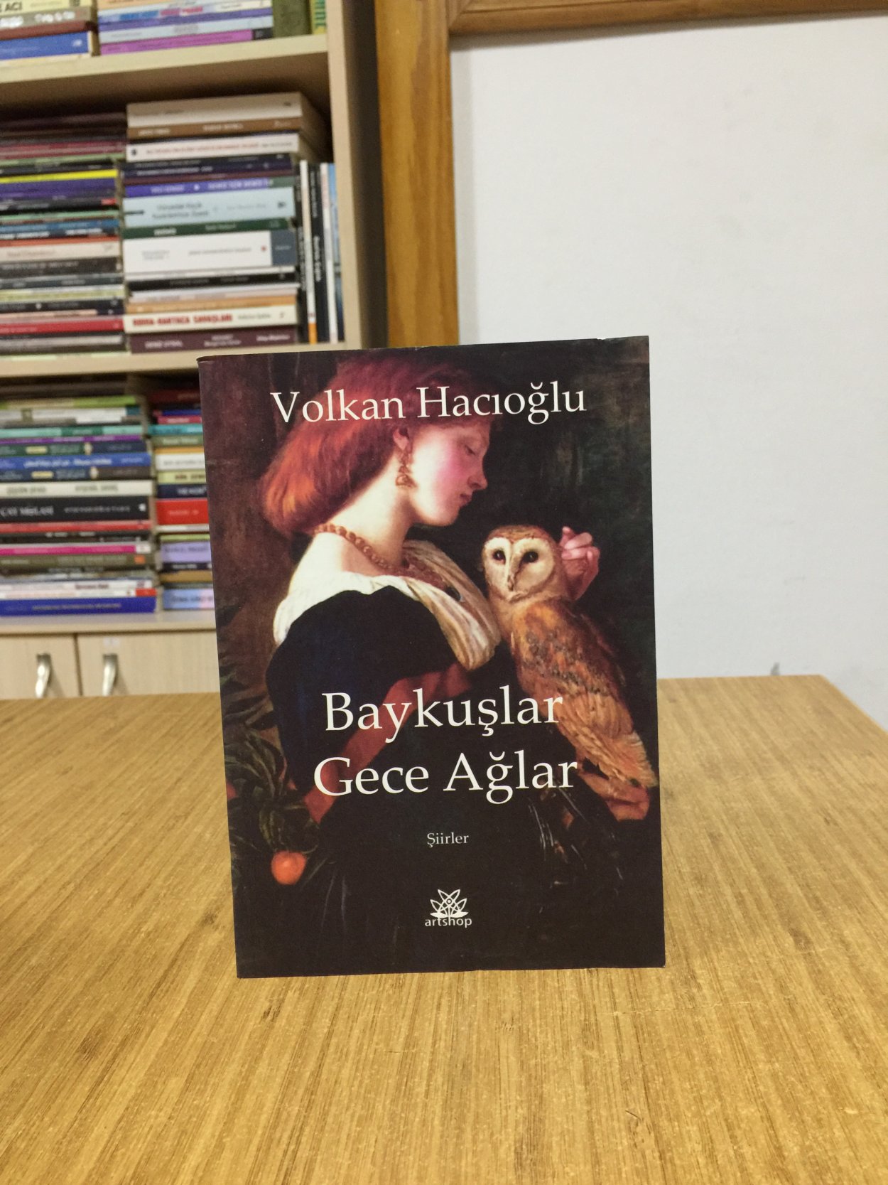 Baykuşlar Gece Ağlar - Volkan Hacıoğlu