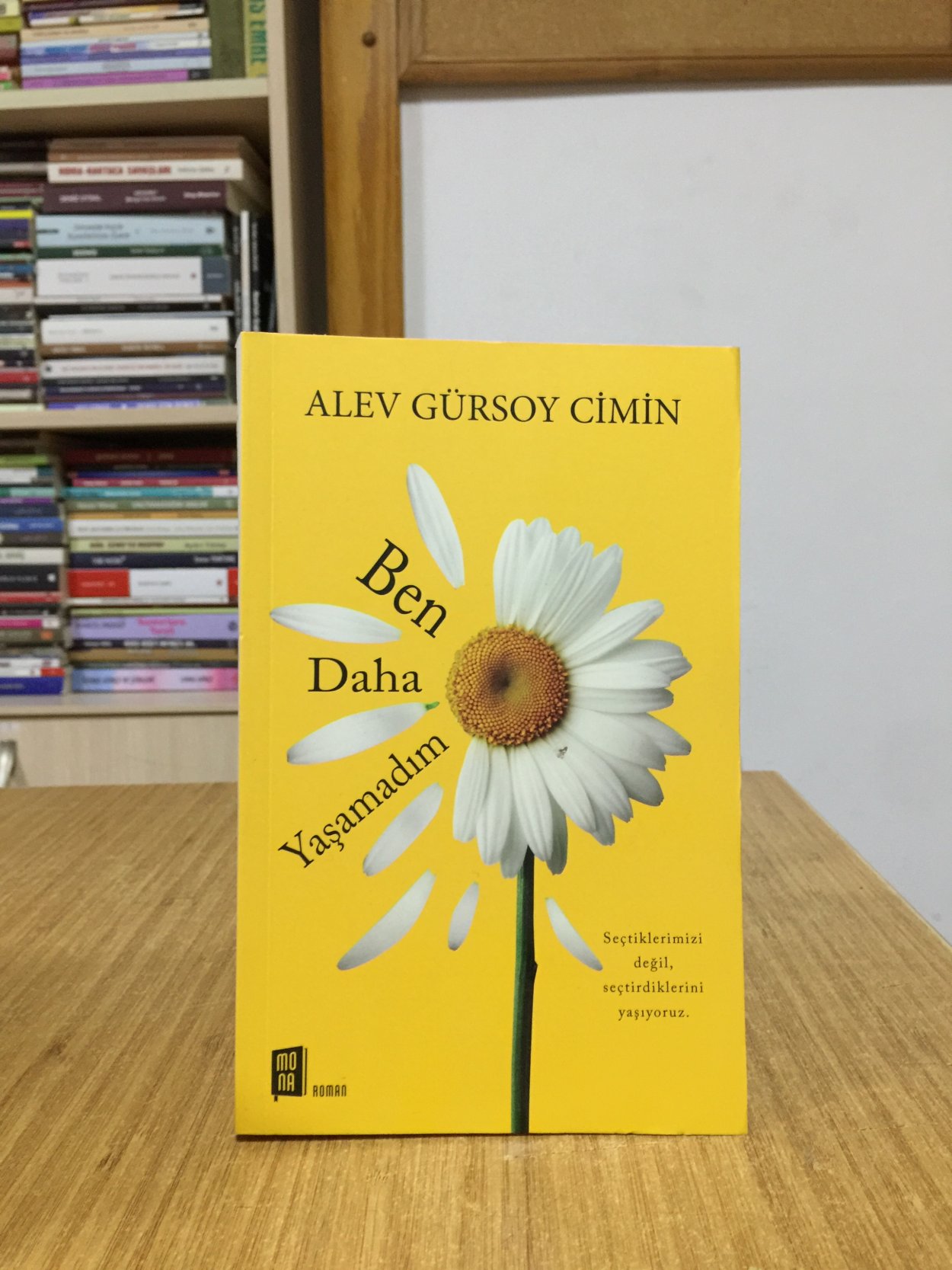 Ben Daha Yaşamadım - Alev Gürsoy Cimin