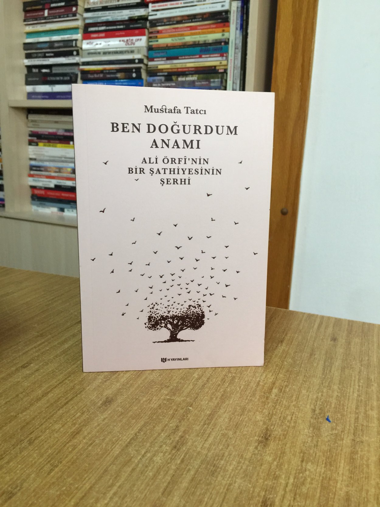 Ben Doğurdum Anamı - Ali Örfî'nin Bir Şathiyesinin Şerhi