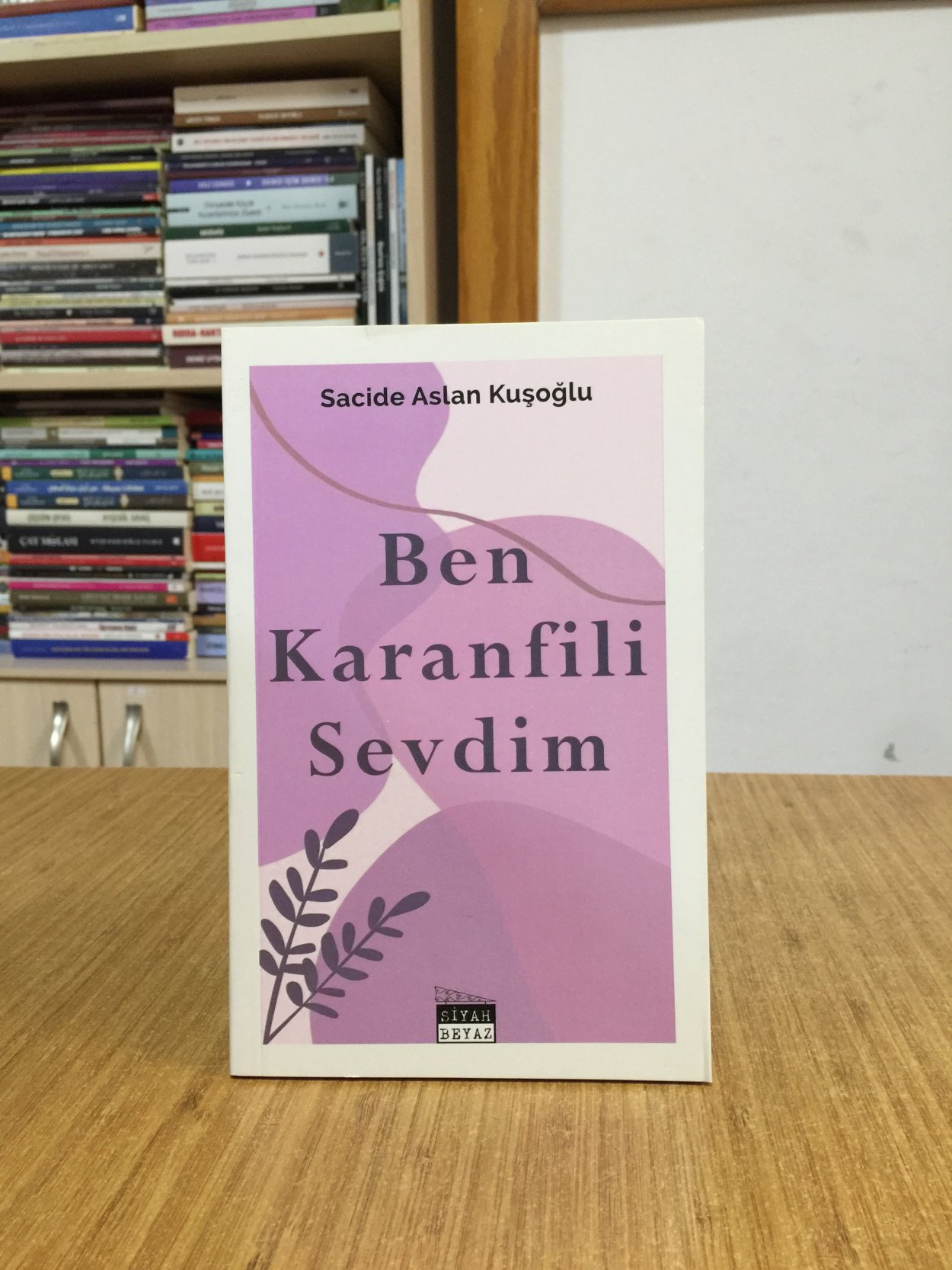 Ben Karanfili Sevdim - Sacide Aslan Kuşoğlu