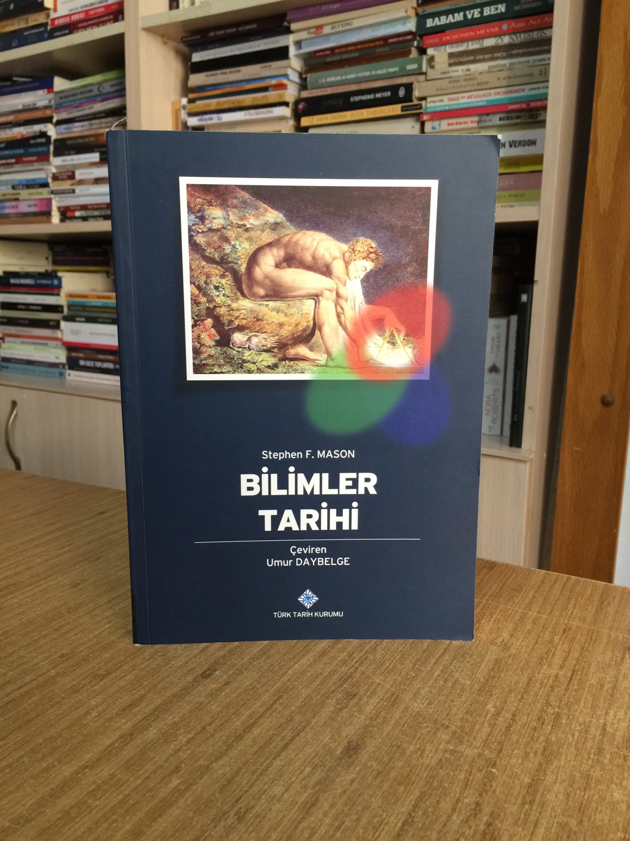 Bilimler Tarihi - Stephen F. Mason (Karton Kapak)