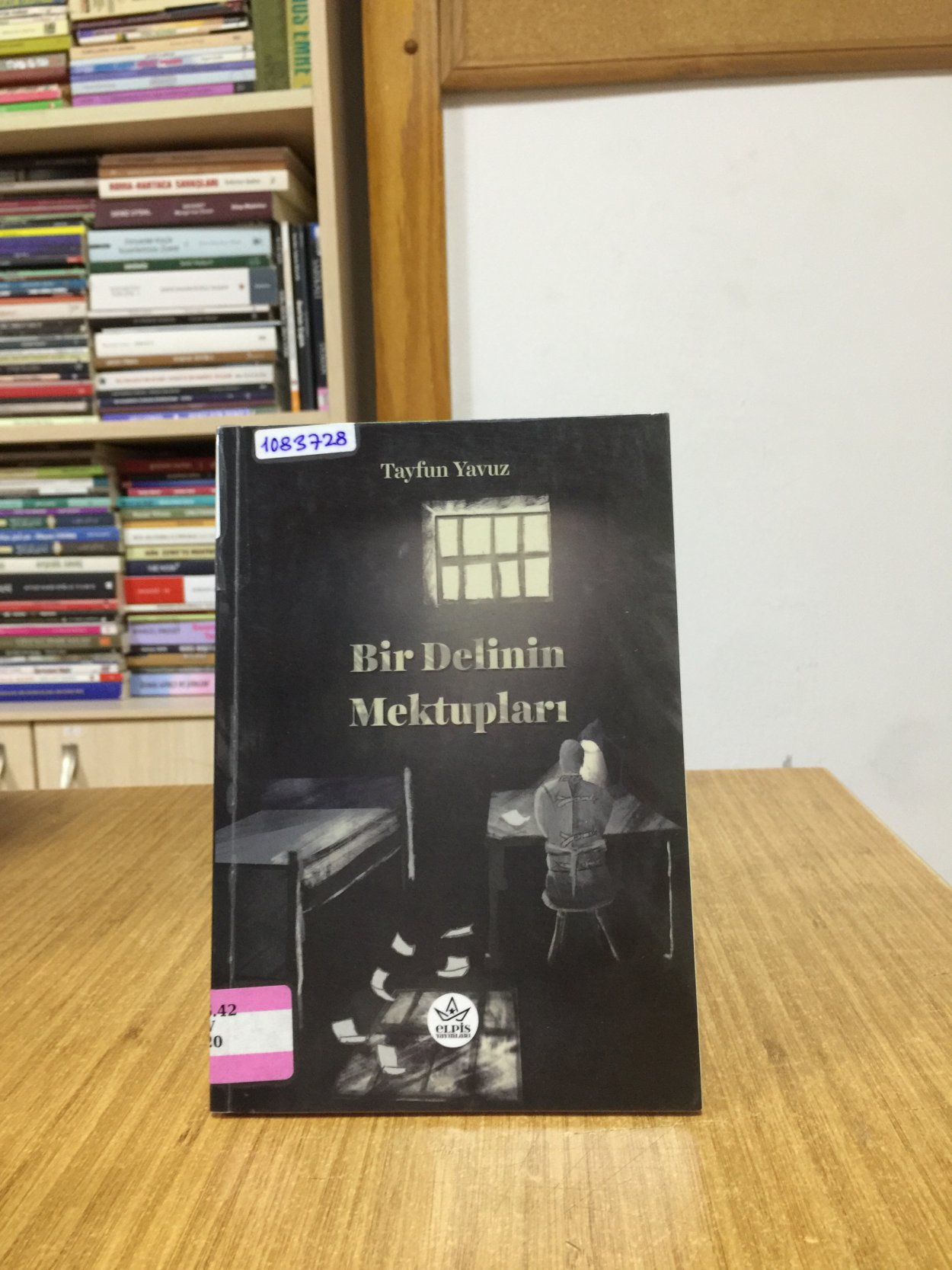 Bir Delinin Mektupları - Tayfun Yavuz