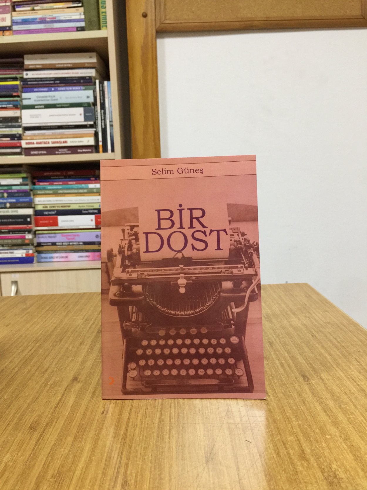 Bir Dost - Selim Güneş