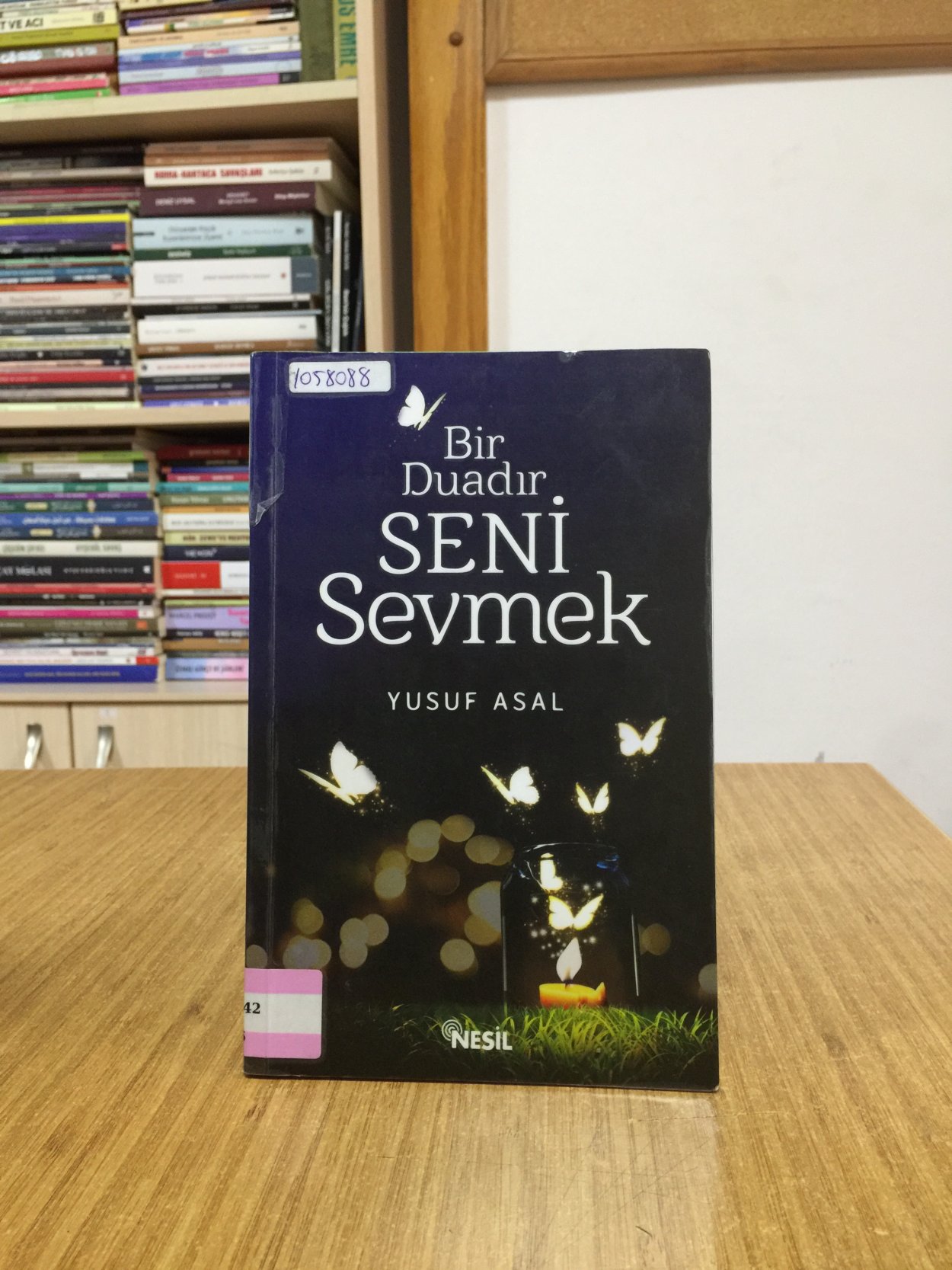 Bir Duadır Seni Sevmek - Yusuf Asal