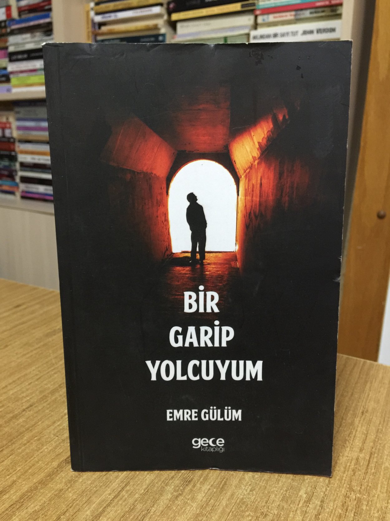 Bir Garip Yolcuyum - Emre Gülüm