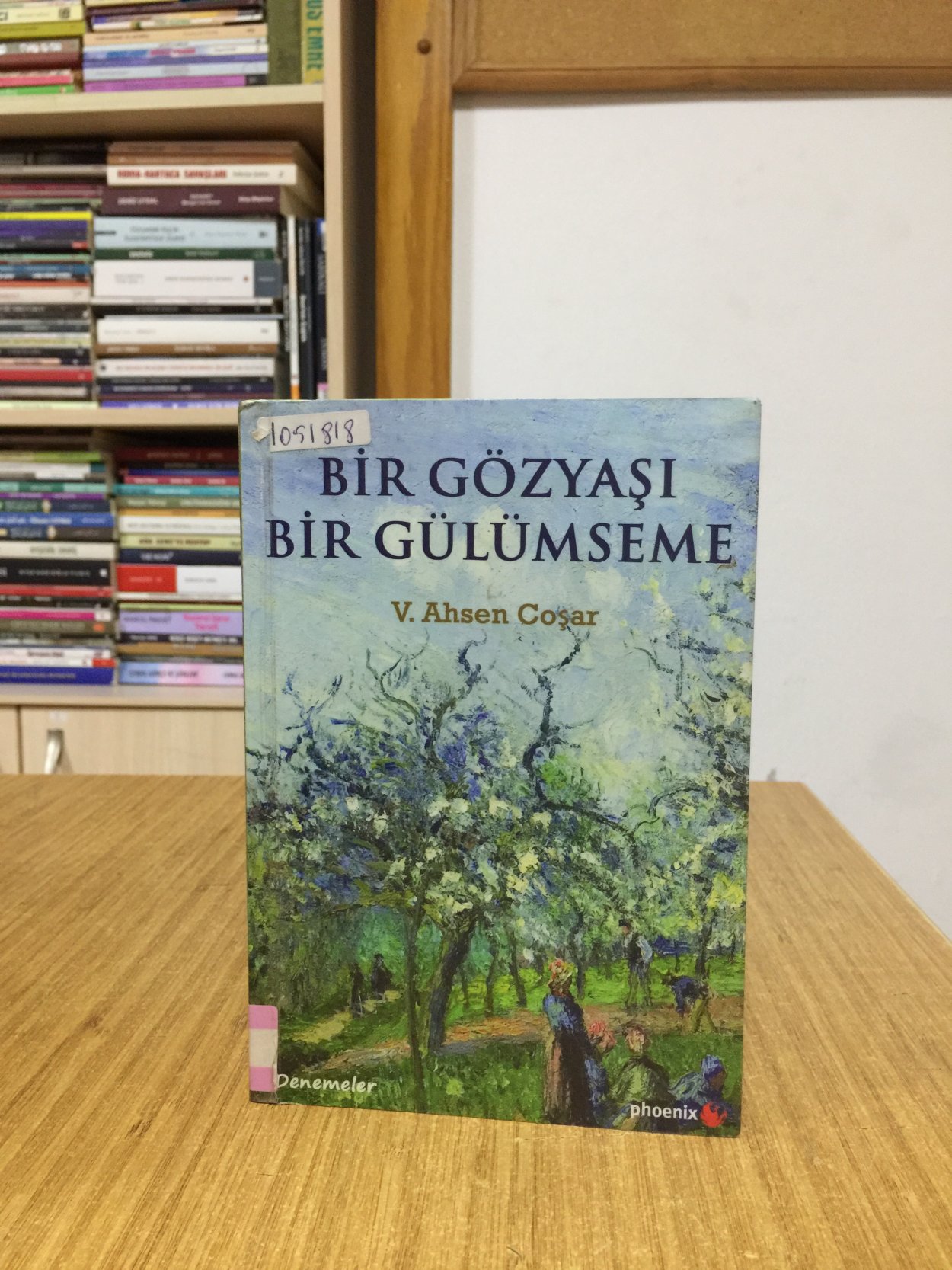 Bir Gözyaşı Bir Gülümseme - V. Ahsen Coşar
