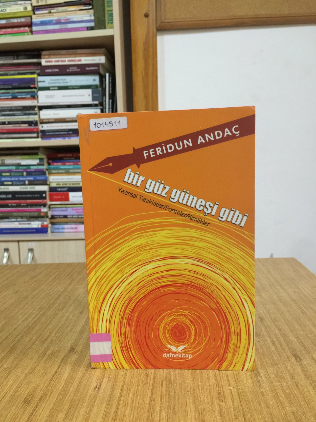Bir Güz Güneşi Gibi (Yazınsal Tanıklıklar, Portreler, Kimlikler) - Feridun Andaç