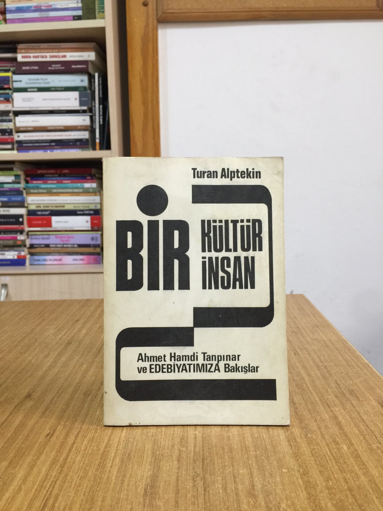 Bir Kültür Bir İnsan - Ahmet Hamdi Tanpınar ve Edebiyatımıza Bakışlar