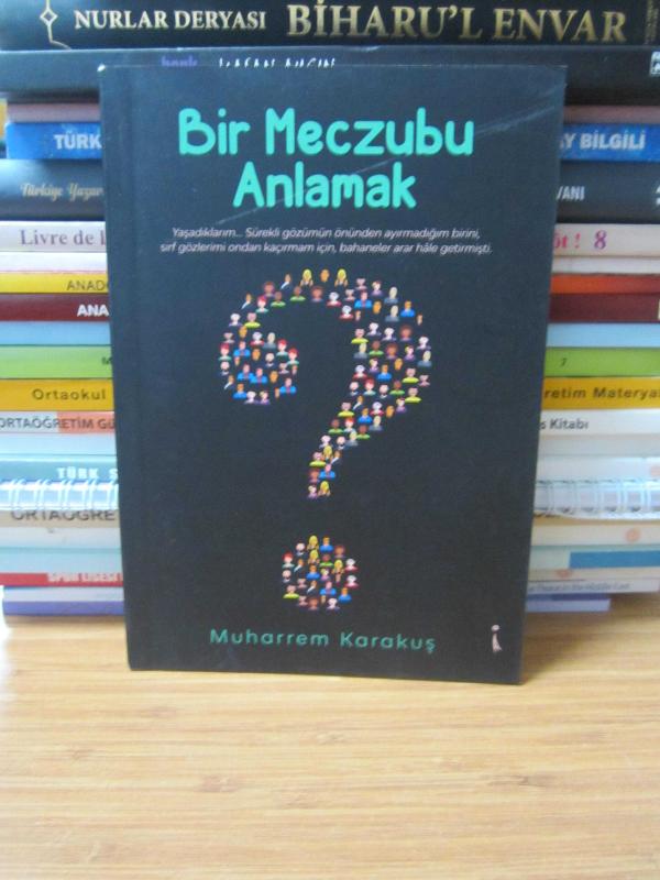 Bir Meczubu Anlamak