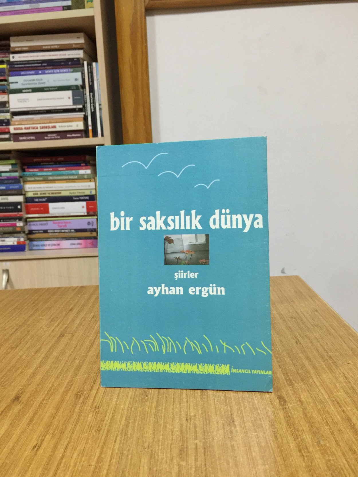 Bir Saksılık Dünya - Ayhan Ergün