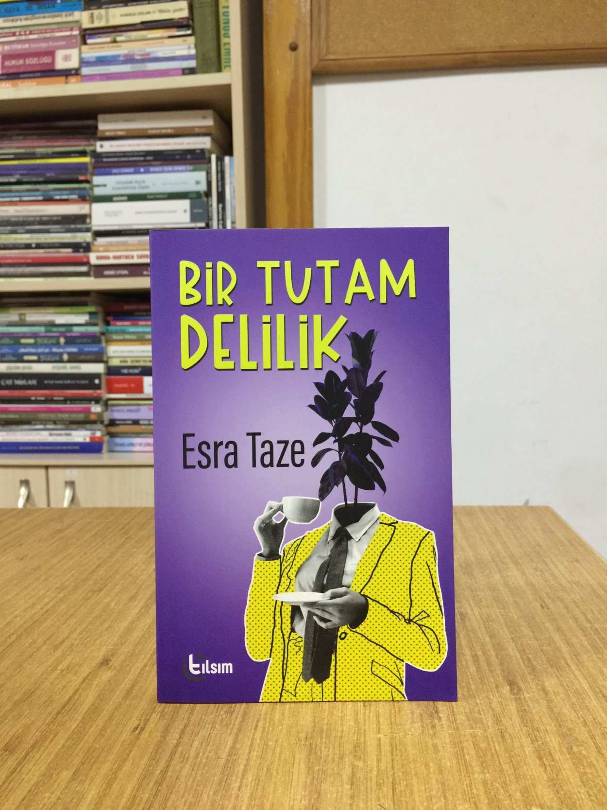 Bir Tutam Delilik - Esra Taze