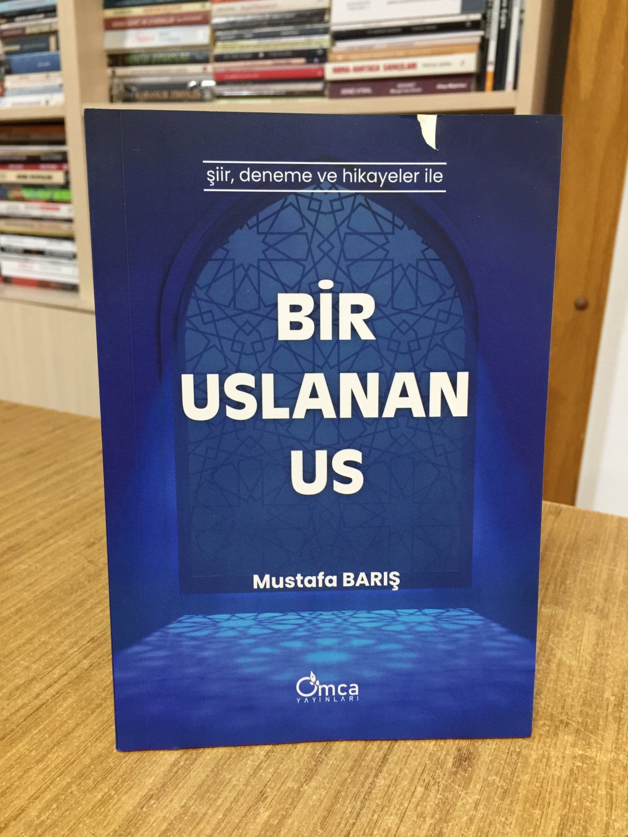 Bir Uslanan Us - Mustafa Barış