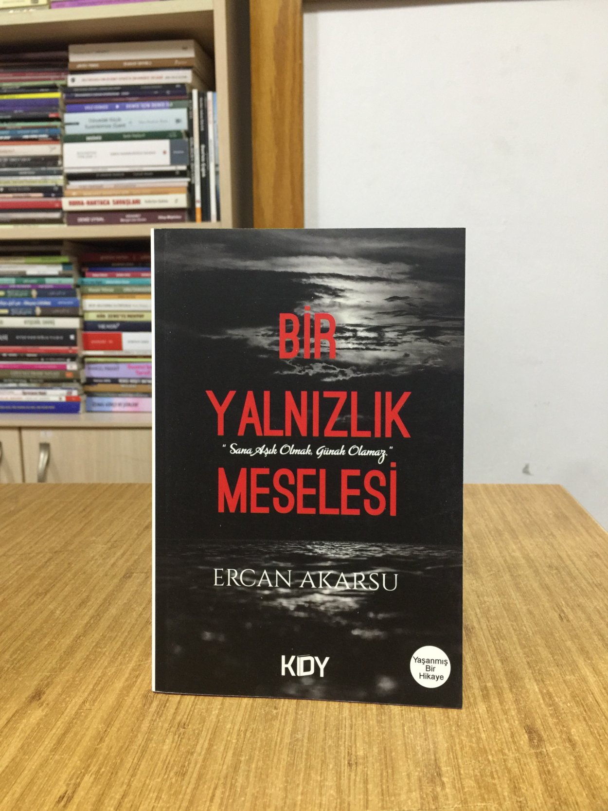 Bir Yalnızlık Meselesi - Ercan Akarsu
