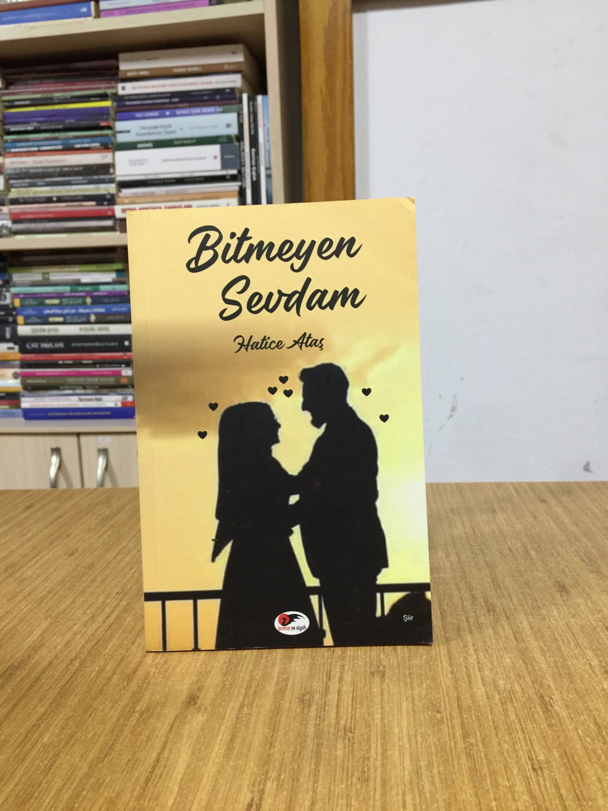Bitmeyen Sevdam - Hatice Ataş