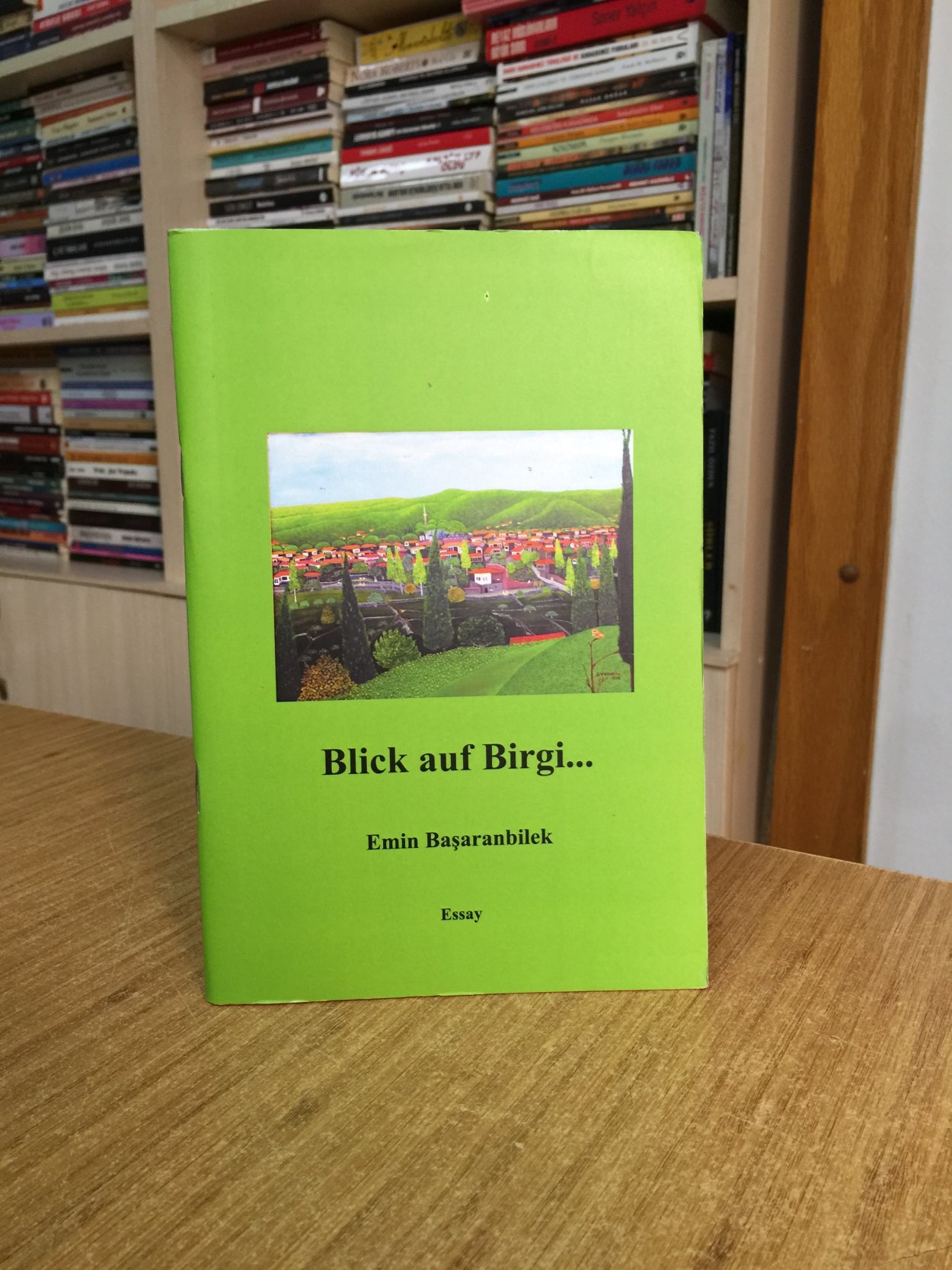 Blick auf Birgi - Emin Başaranbilek