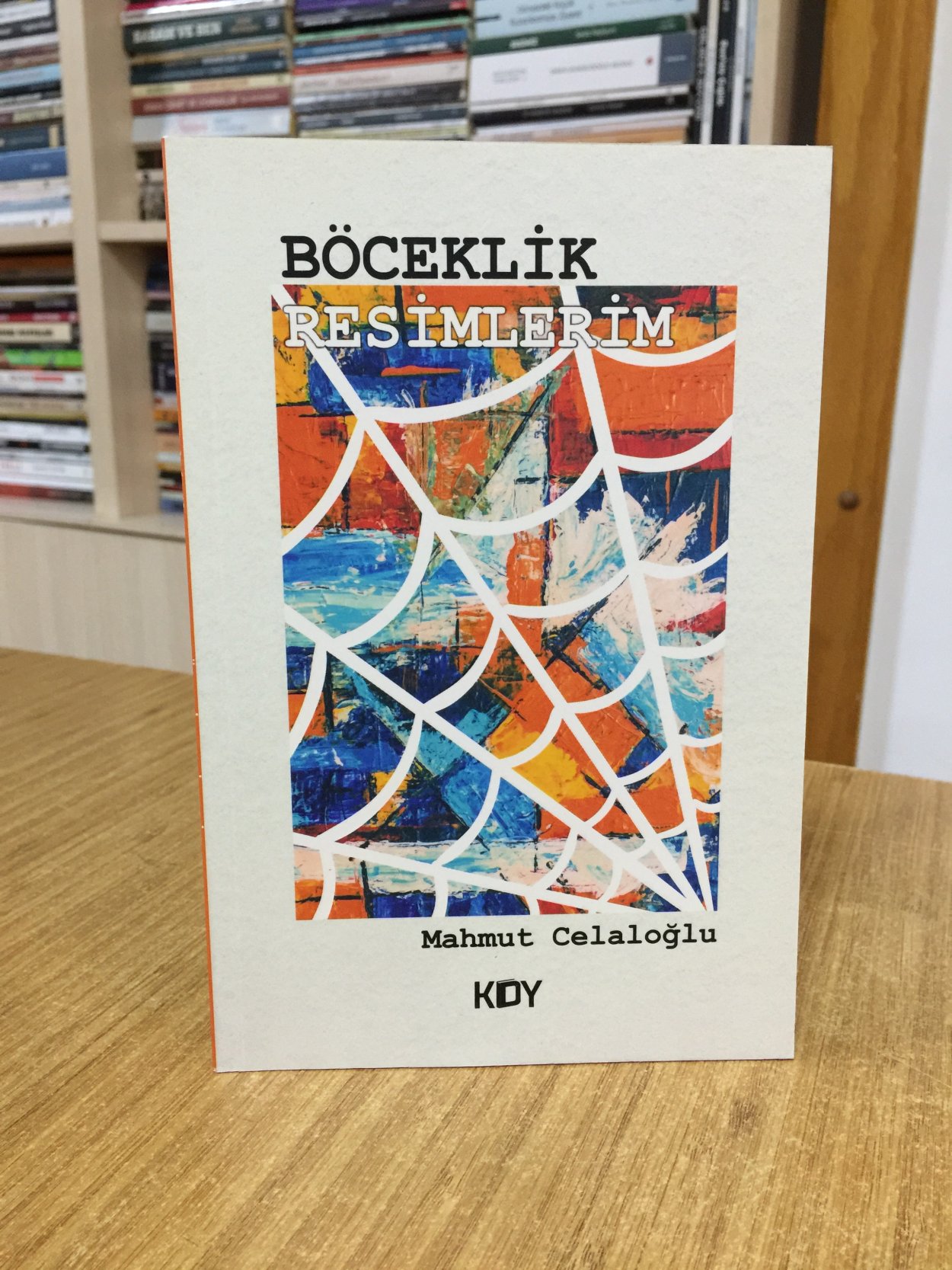 Böceklik Resimlerim - Mahmut Celaloğlu
