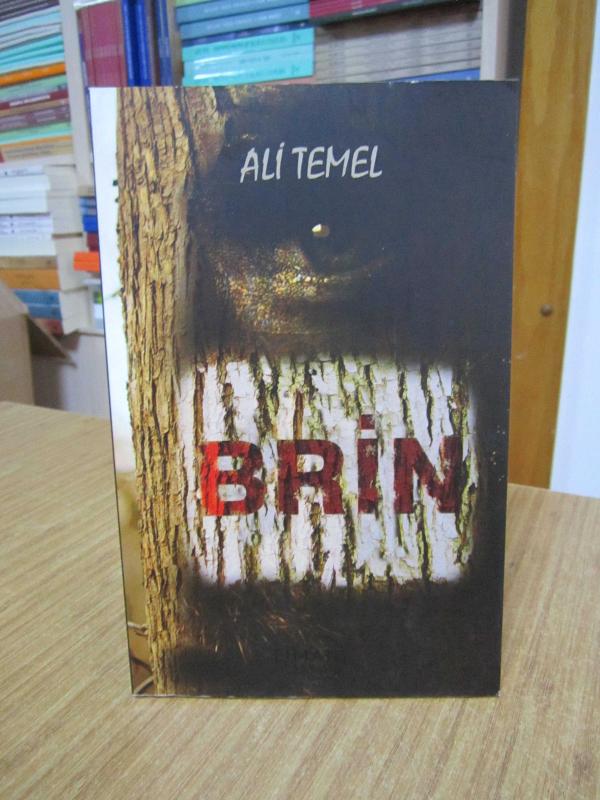 Brin - Ali Temel