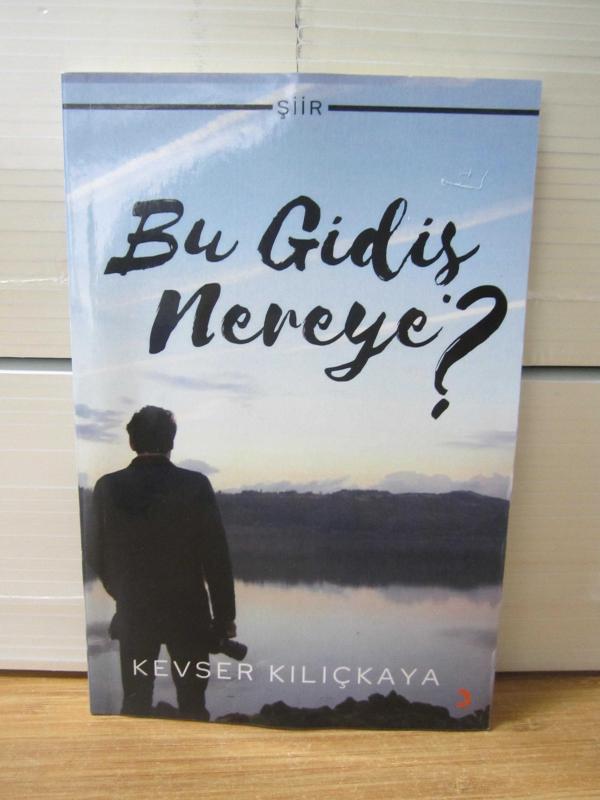 Bu Gidiş Nereye