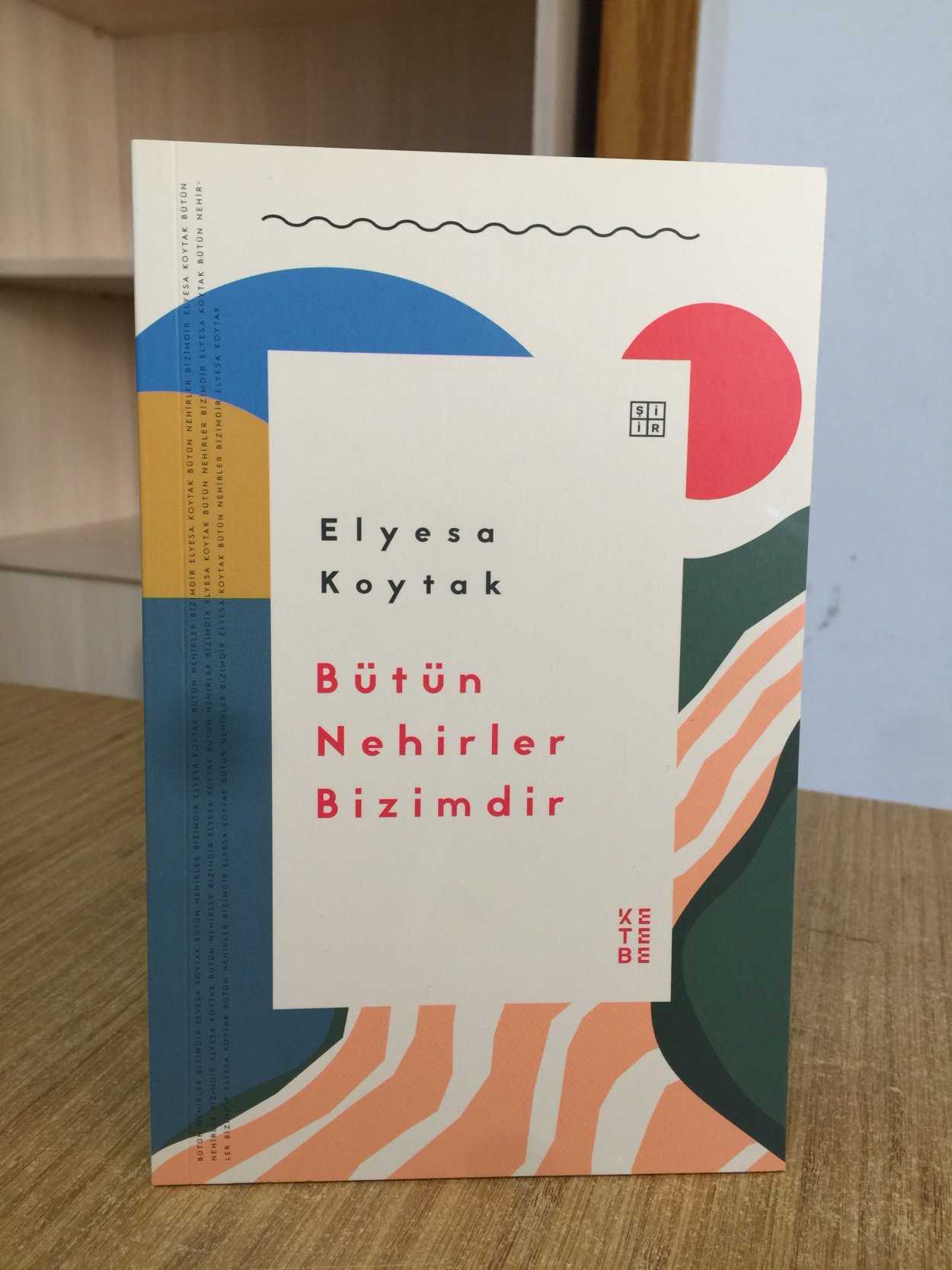 Bütün Nehirler Bizimdir - Elyesa Koytak