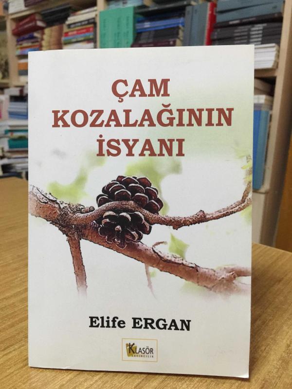 Çam Kozalağının İsyanı - Elife Ergan