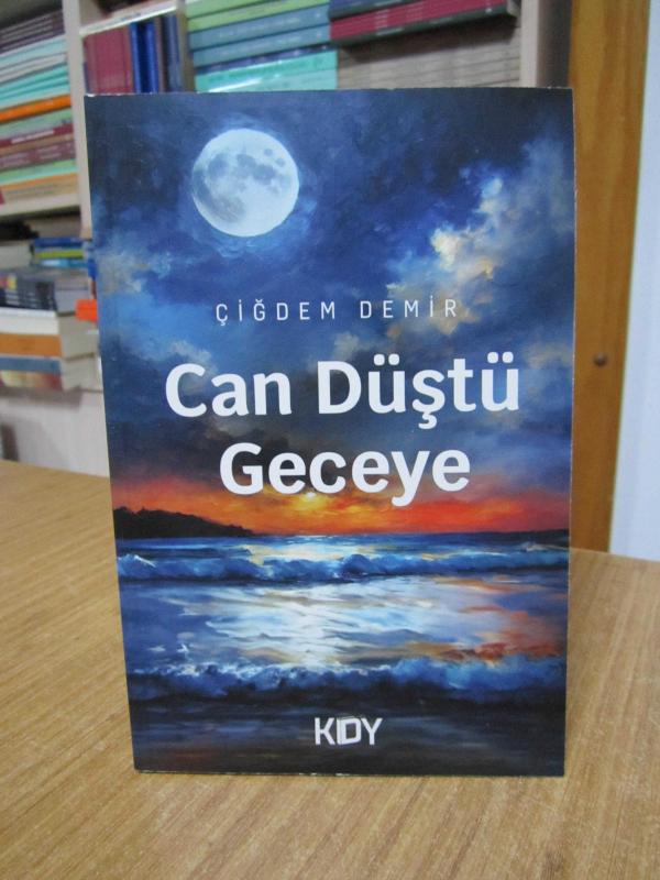 Can Düştü Geceye - Çiğdem Demir