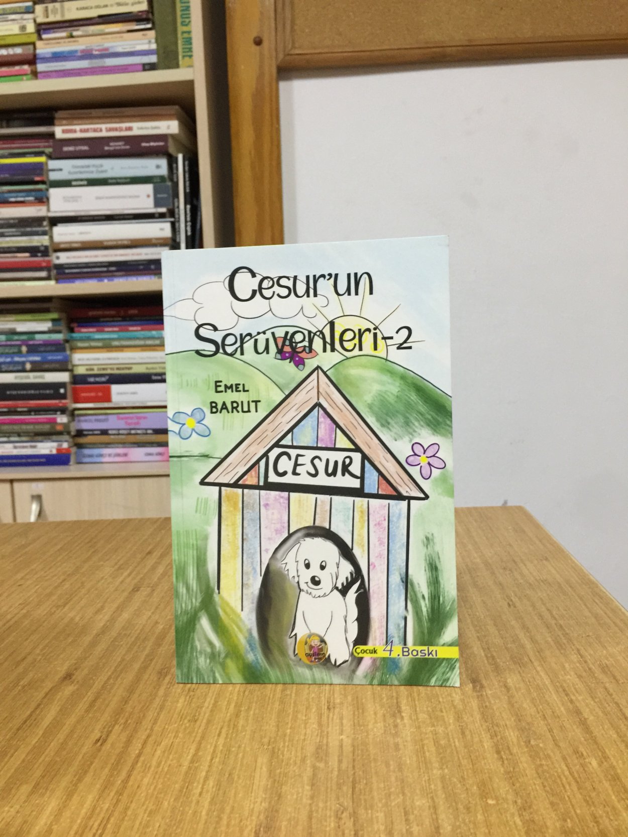 Cesurun Serüvenleri 2 - Emel Barut