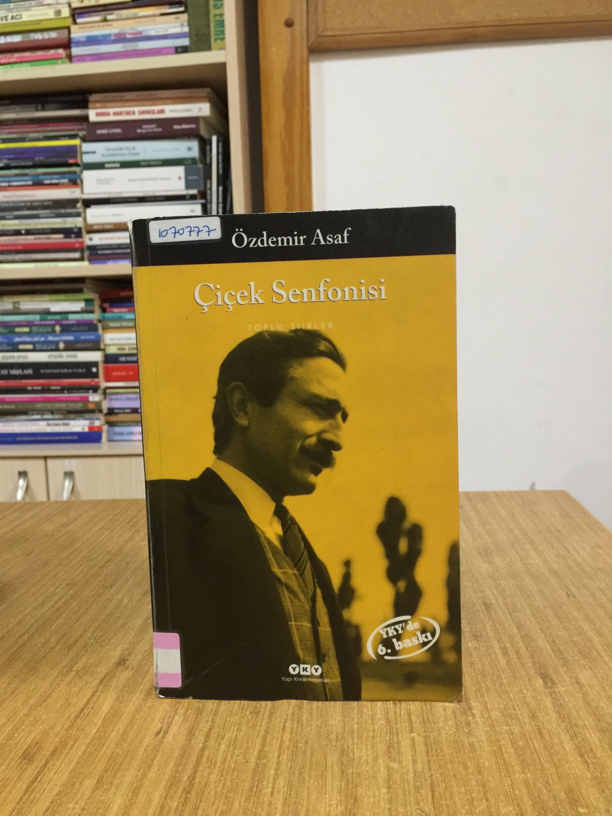 Çiçek Senfonisi - Özdemir Asaf