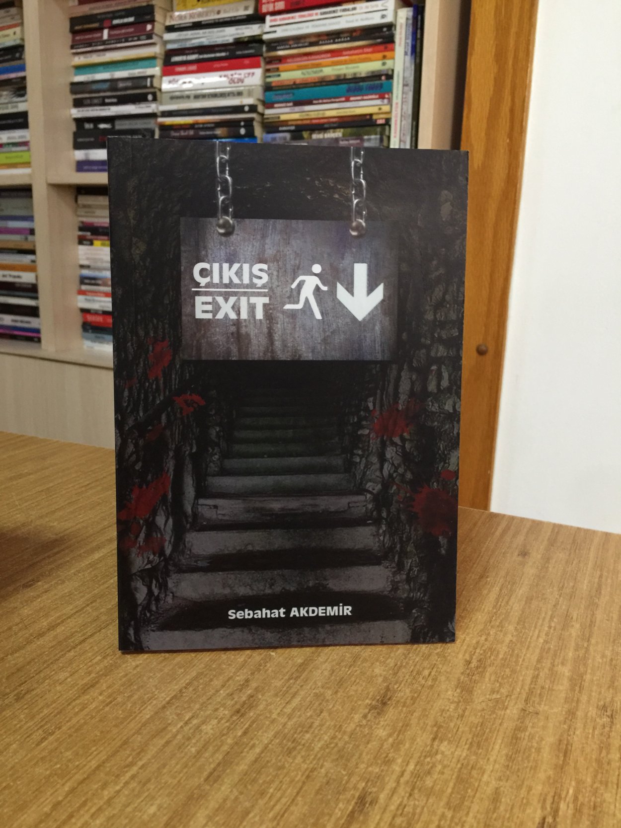 Çıkış Exit - Sebahat Akdemir