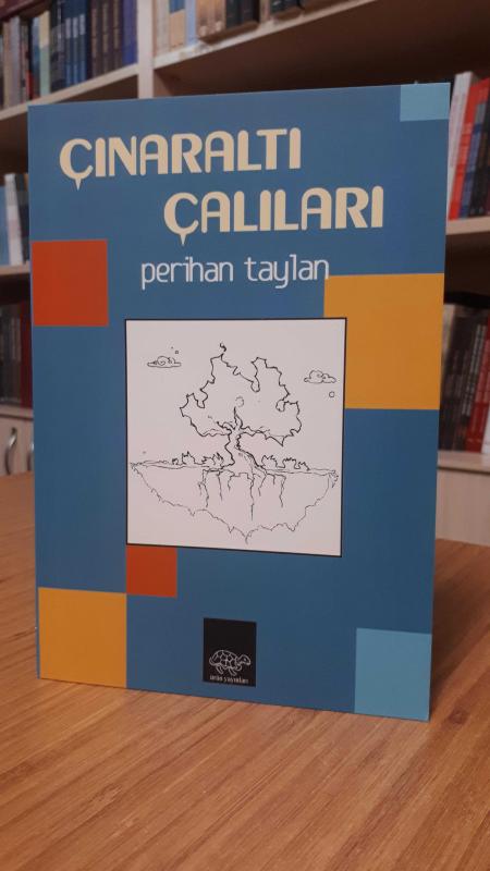 Çınaraltı Çalıları