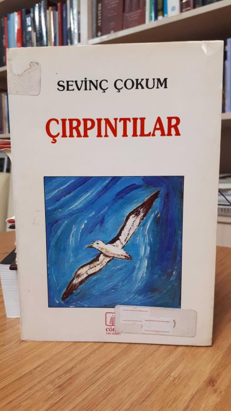 Çırpıntılar
