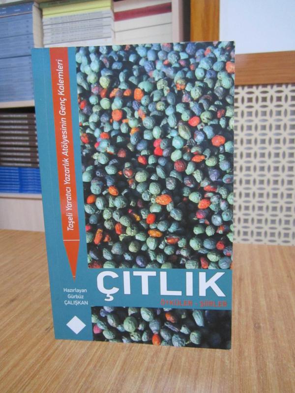 ÇITLIK Taşeli Yaratıcı Yazarlık Atölyesinin Genç Kalemleri Öyküler Şiirler / Hazırlayan: Gürbüz Çalışkan