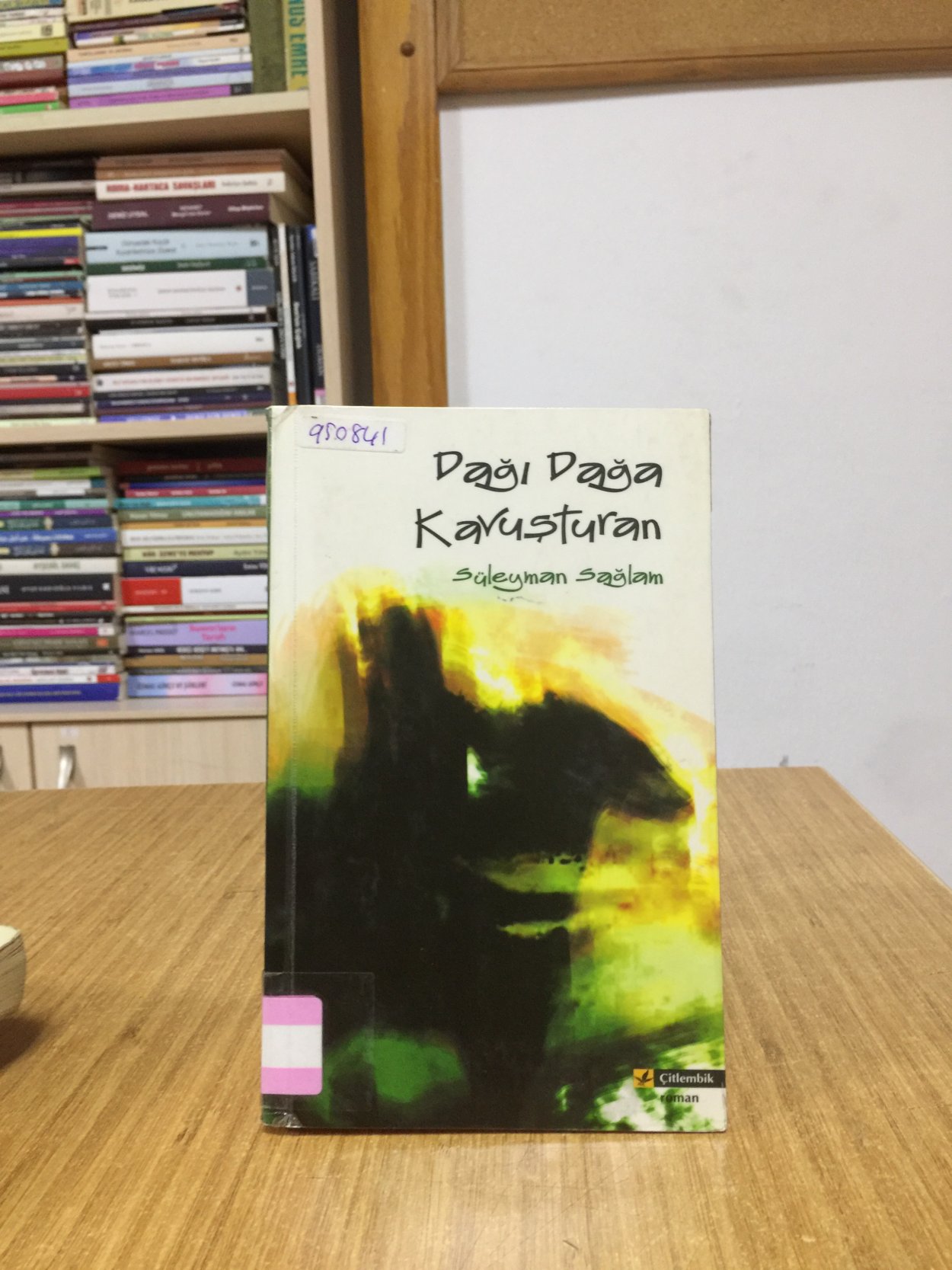 Dağı Dağa Kavuşturan - Süleyman Sağlam